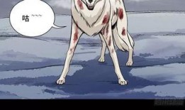 狼漫画,漫绘江湖的狼性风采